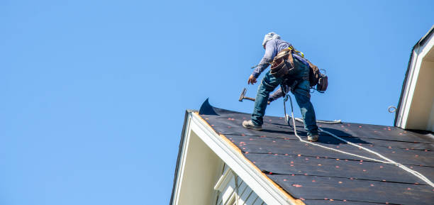 Best Gutter Installation and Roofing  in Westville, NJ